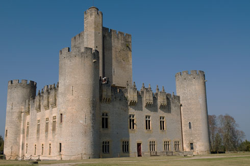 Crociere a Bordeaux, Gironda. Foto del Castello.